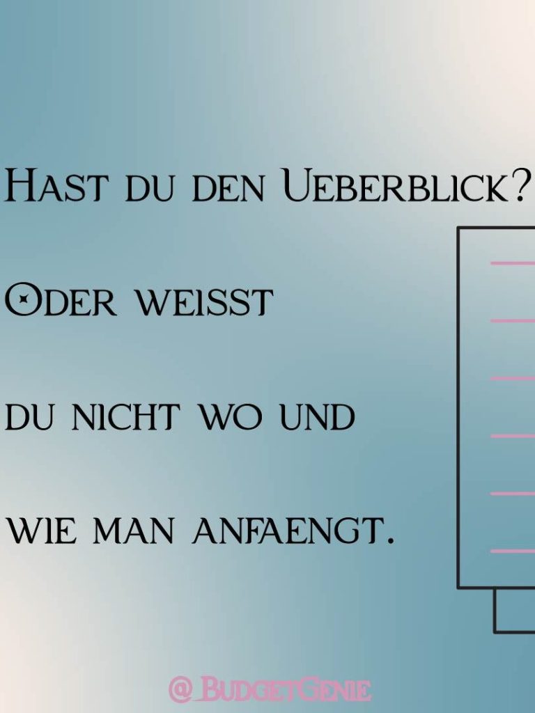 Bild mit dem Schriftzug: "Hast du den Überblick oder weisst du nicht wo und wie man anfängt?"